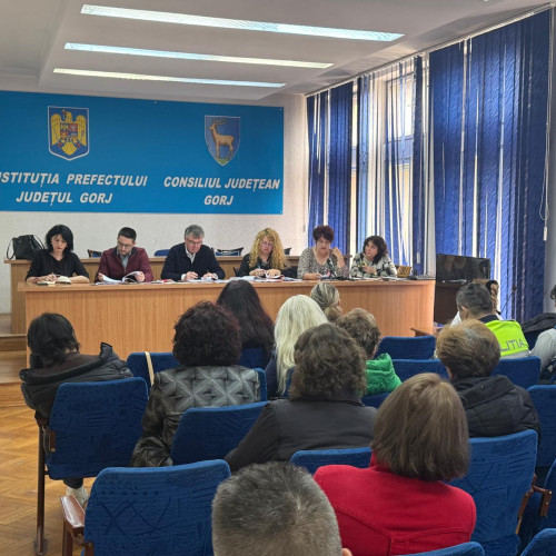 Gorjul își dezvoltă strategia de servicii sociale pentru 2026-2035