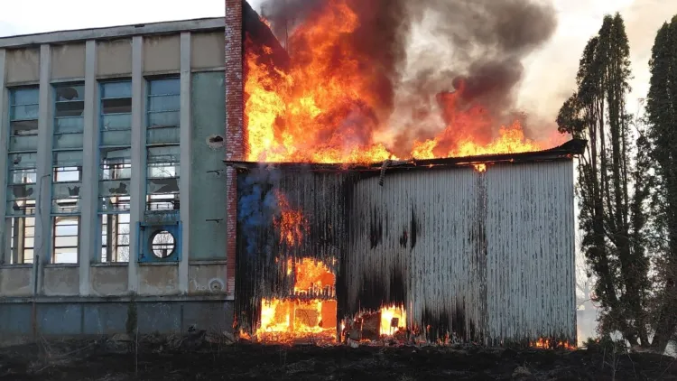 Incendiu de vegetație lângă Cuzdrioara: pompierii intervin cu dificultate