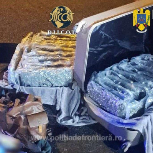 Prins cu 31 de kilograme de canabis la frontieră, un italian a fost arestat