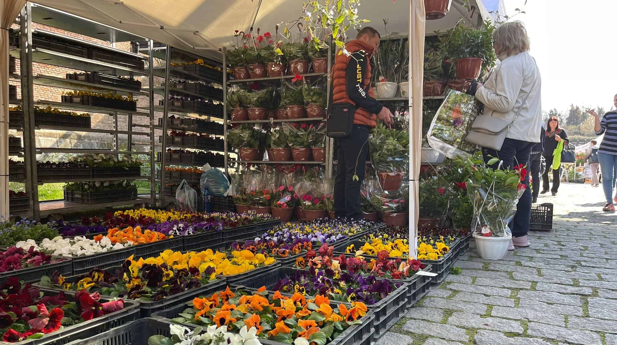 Târgul Grădinarului 2026 aduce primăvara la Alba Iulia