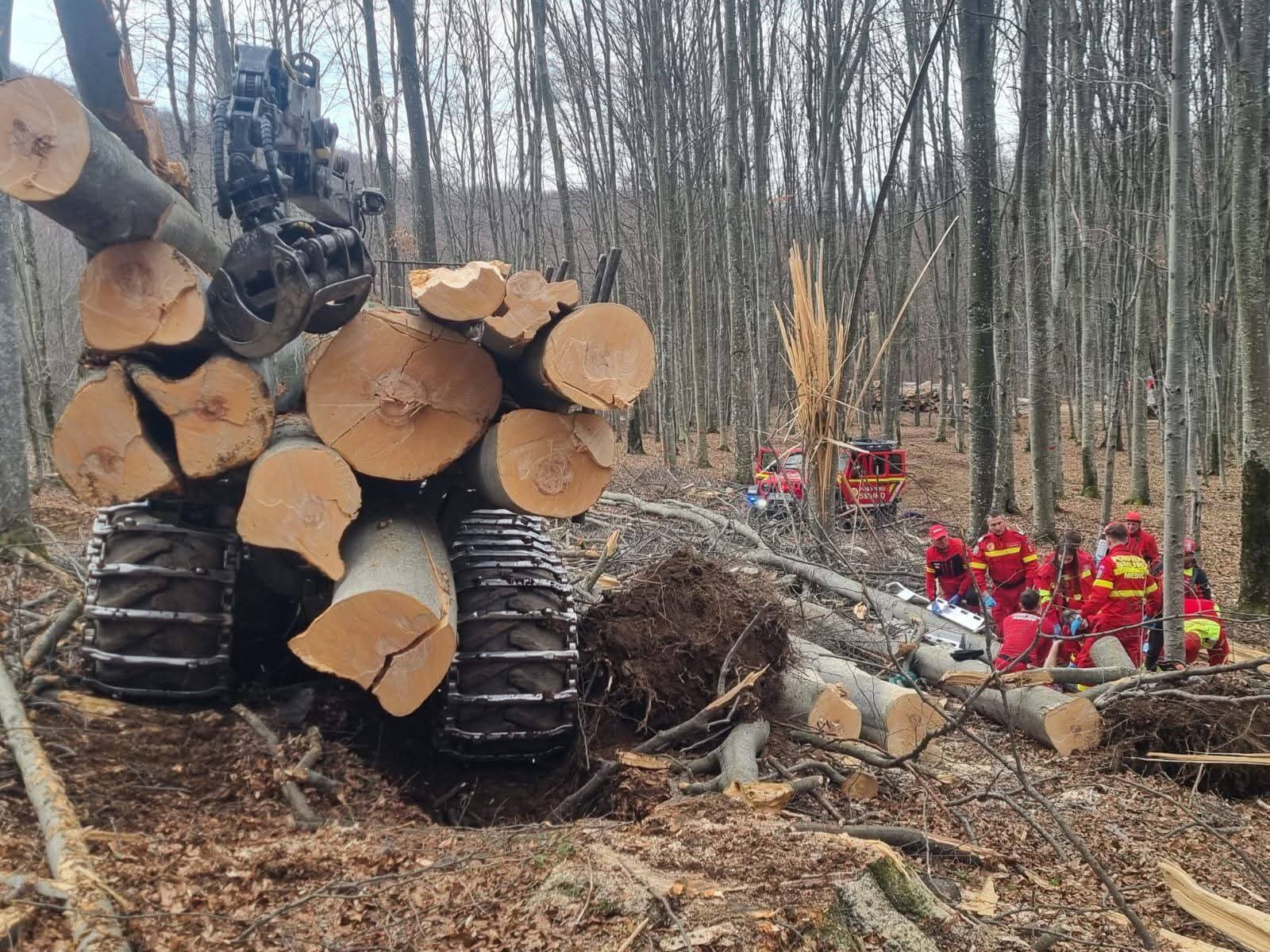 Accident tragic în Budacu de Sus: un bărbat a murit după ce a fost lovit de un copac