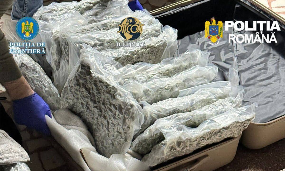 Captură impresionantă la graniță: 31 de kilograme de canabis confiscate