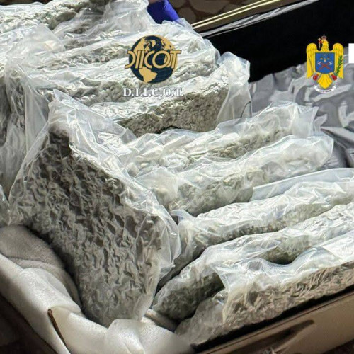 Captură impresionantă la graniță: 31 de kilograme de canabis confiscate