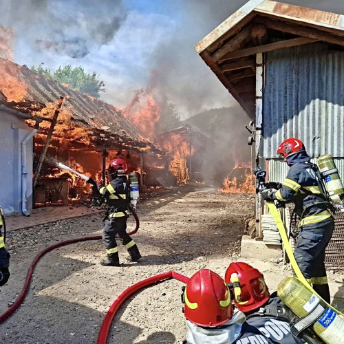 Incendiu violent într-o gospodărie din comuna Hârsești