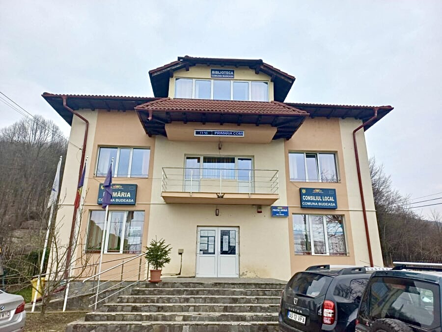 Budeasa organizează campanie gratuită pentru sterilizarea câinilor și pisicilor