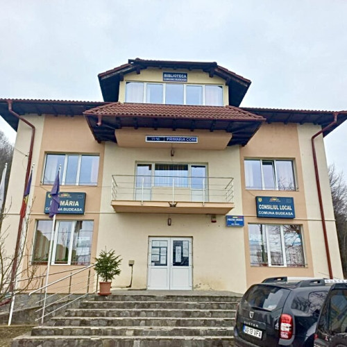 Budeasa organizează campanie gratuită pentru sterilizarea câinilor și pisicilor