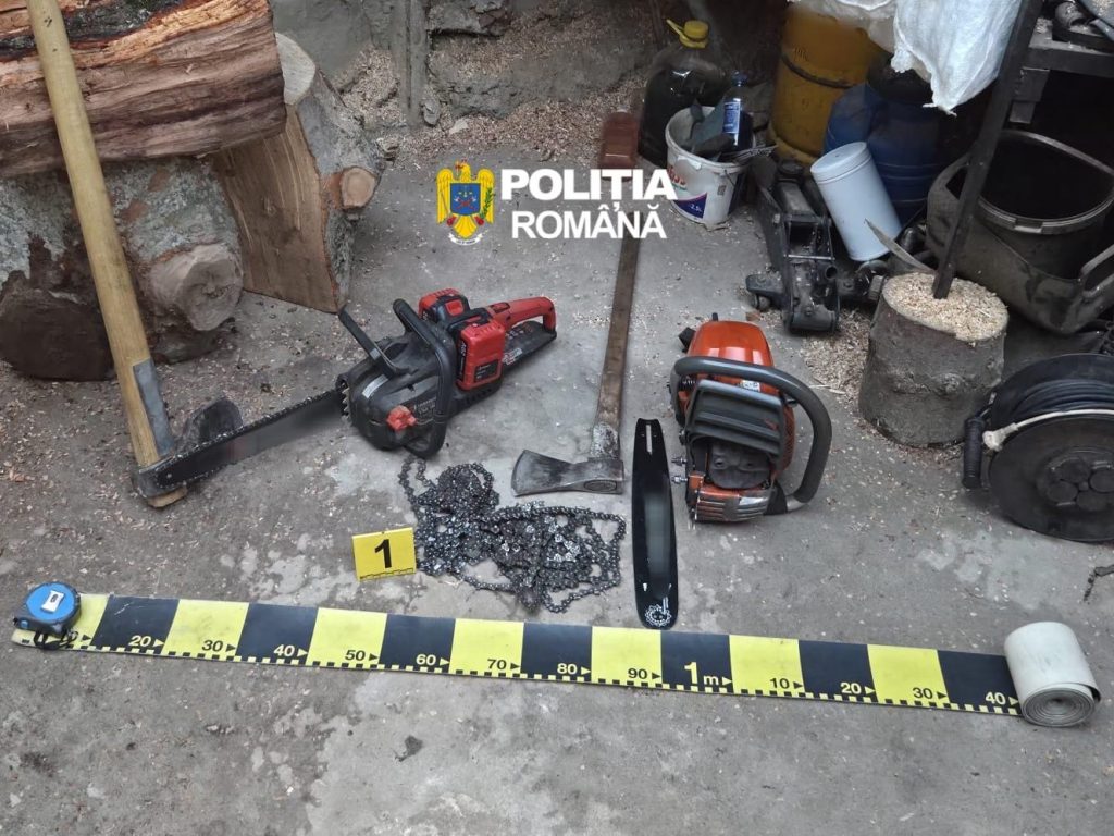 Percheziții în Gorj pentru furt de material lemnos