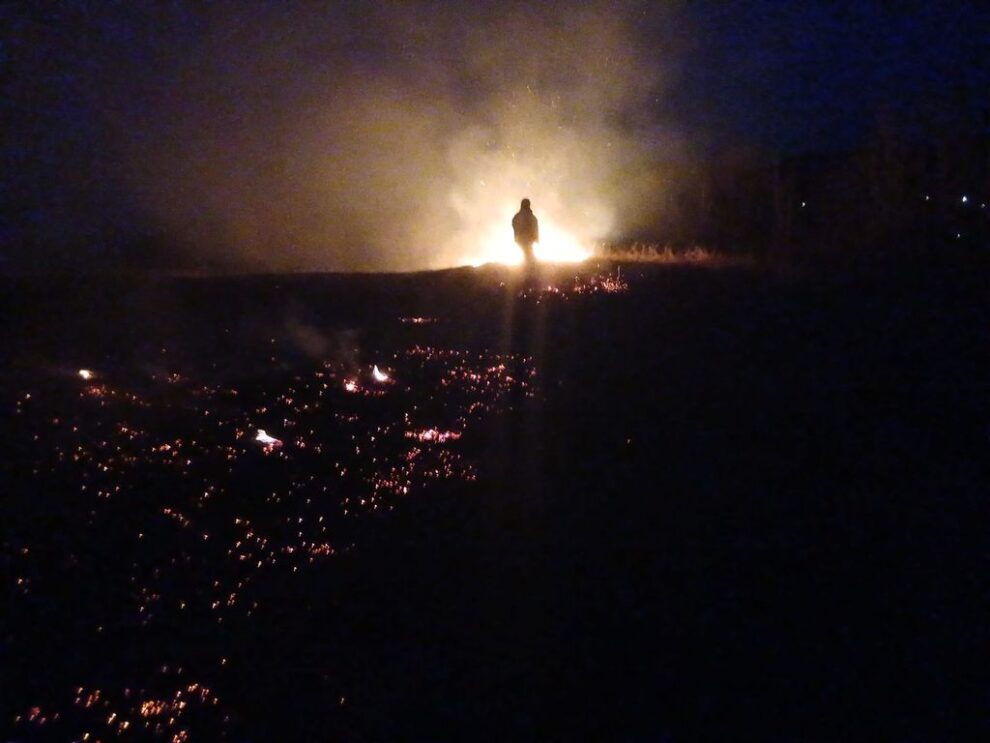 Interzicerea arderii vegetației pentru protecția mediului din România