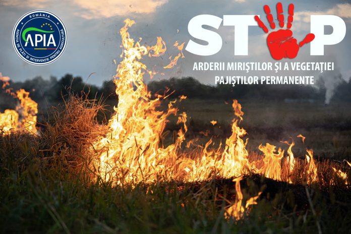 Fermierii, obligați să respecte norme de mediu pentru sprijinul APIA