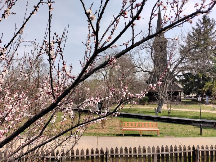 Muzeul își extinde programul de vară pentru vizitatori