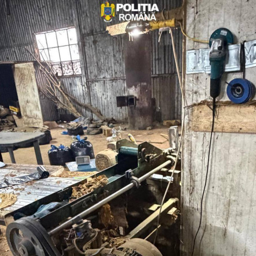 Descoperire șocantă: Fabrica ilegală de tutun, identificată în Urziceni