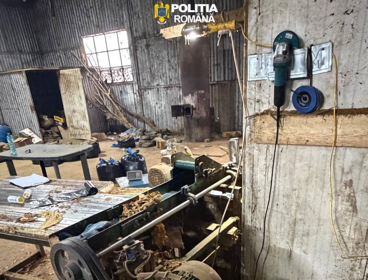 Descoperire șocantă: Fabrica ilegală de tutun, identificată în Urziceni