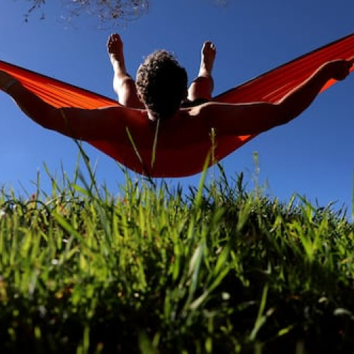 Cea mai afectată oraș din SUA în sezonul alergiilor