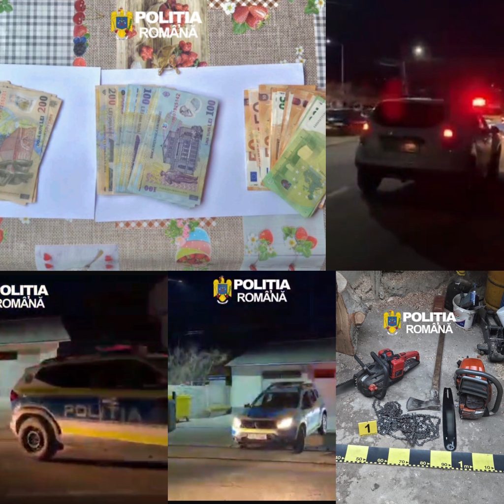 Percheziții la Polovragi în dosarul furtului de lemn