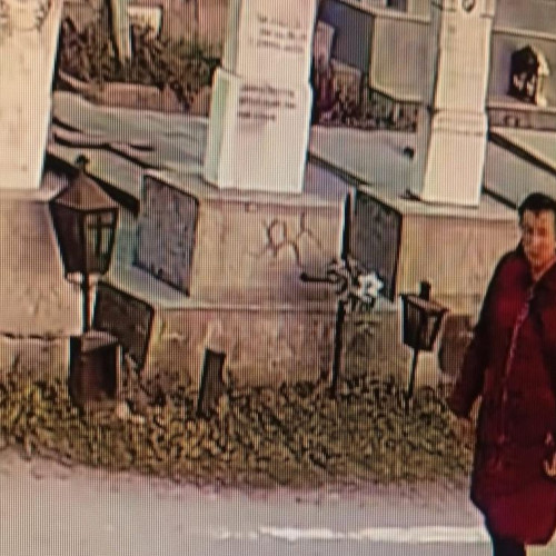 Femeie din Craiova, prinsă după profanarea mormântului lui Ilie Balaci