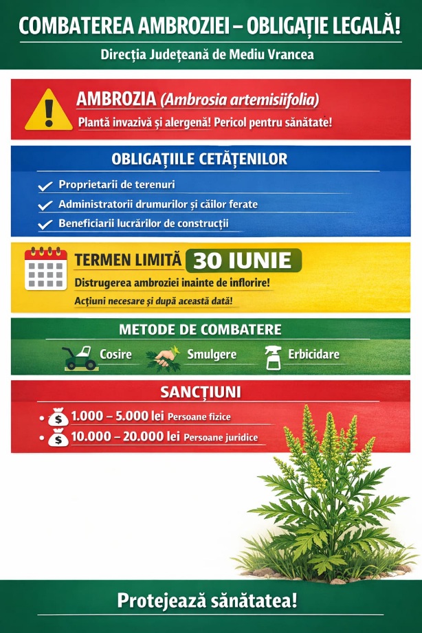 Proprietarii de terenuri au obligația de a combate ambrozia, avertizează autoritățile