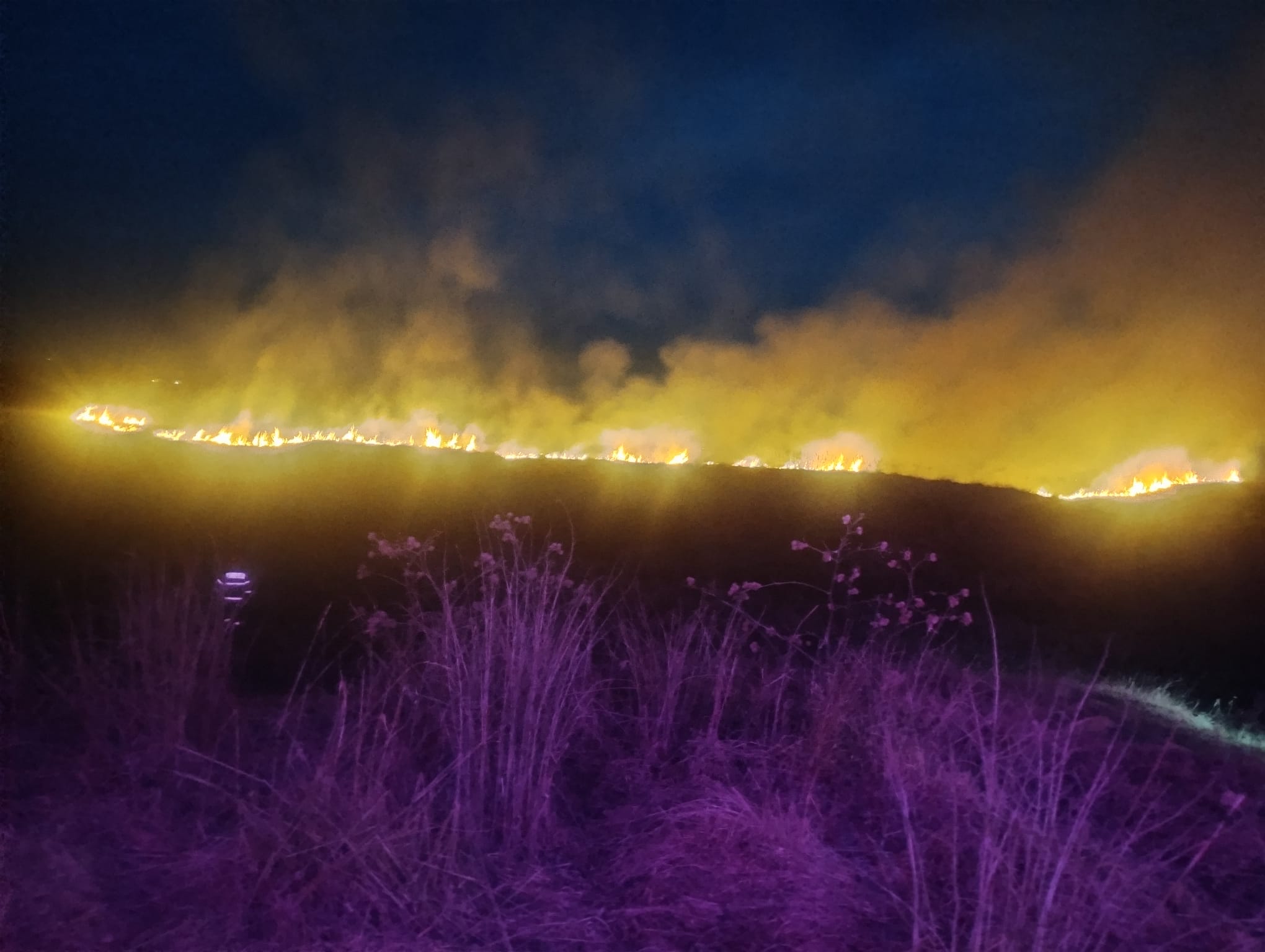 Pompierii nemțeni se confruntă cu incendii de vegetație pe 7 hectare