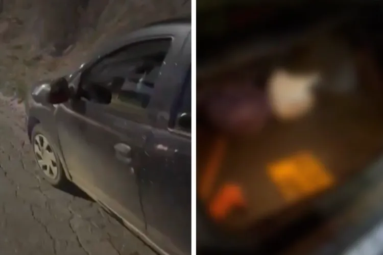 Bărbat din Beliș arestat pentru vânătoare ilegală și conducere sub influența alcoolului