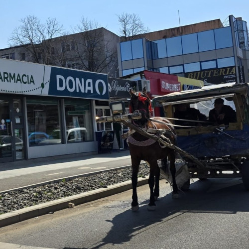 Galaţi: Trafic variat cu atelaje hipo şi semnalizare electrică