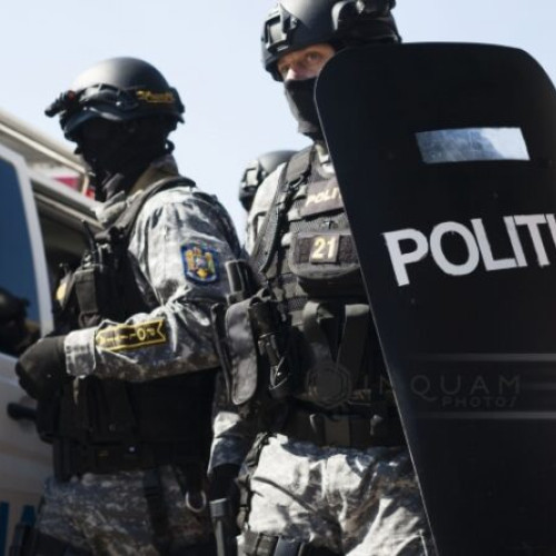 Percheziții în șase județe pentru combaterea infracțiunilor silvice