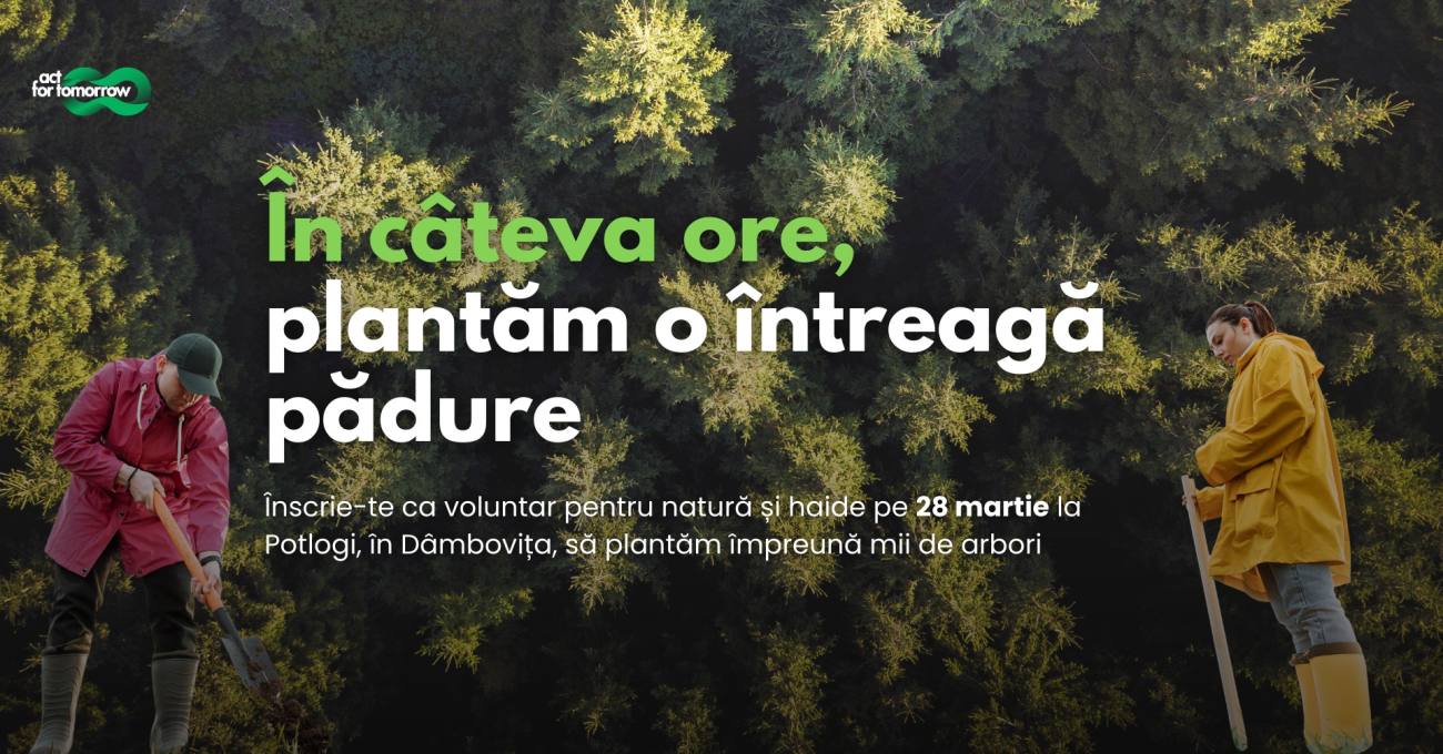 O nouă campanie de împădurire la Potlogi pe 28 martie