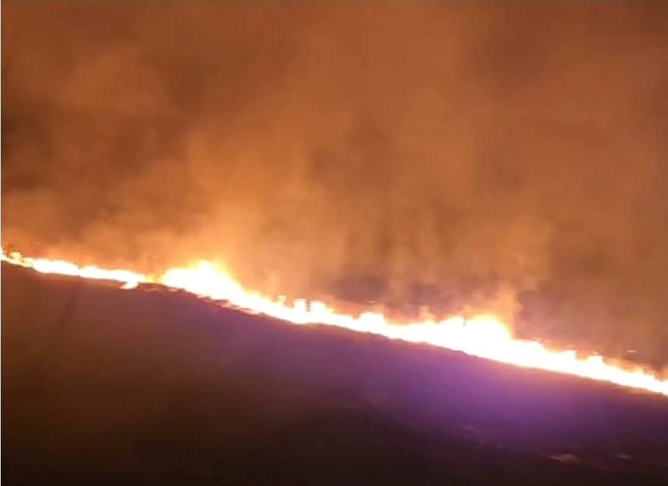 Incendiu de vegetație uscată în Titu: pompierii intervin rapid