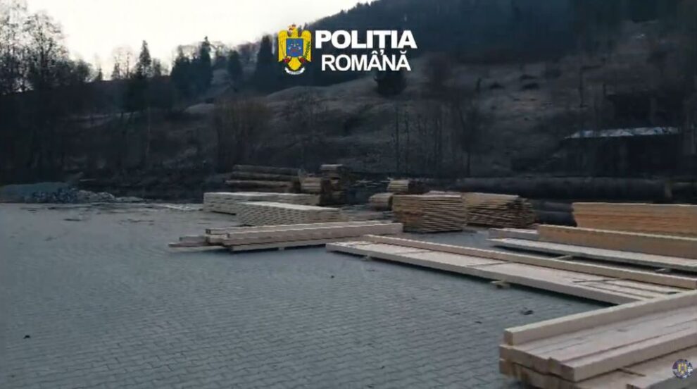 Percheziții în Bistrița-Năsăud pentru combaterea tăierilor ilegale de arbori