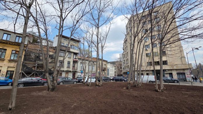 Transformare rapidă a unei zone verzi în București