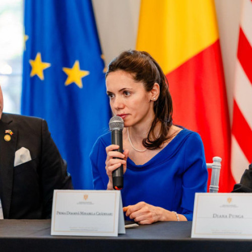 Mirabela Grădinaru și oficialii români discută despre sănătatea copiilor la Washington