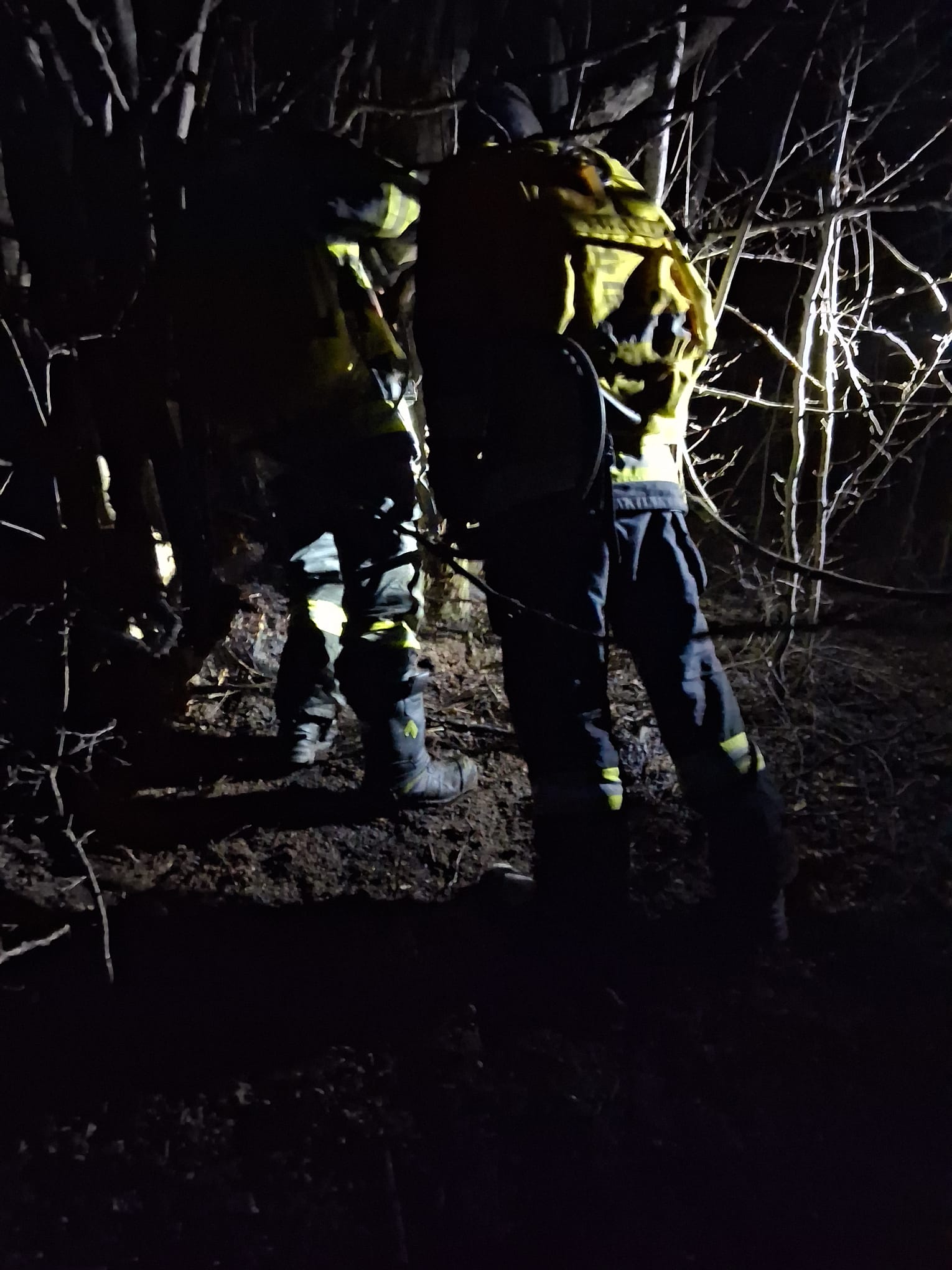 Incendii devastatoare în Neamț: pompierii intervin în mai multe localități