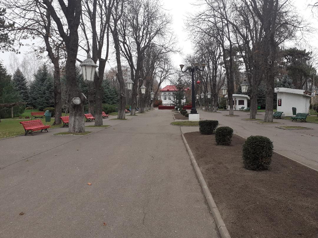 Primăria Vaslui vrea să închirieze terenuri pentru terase provizorii