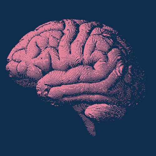 Dieta unică ar putea încetini îmbătrânirea creierului cu peste 2 ani, sugerează un studiu