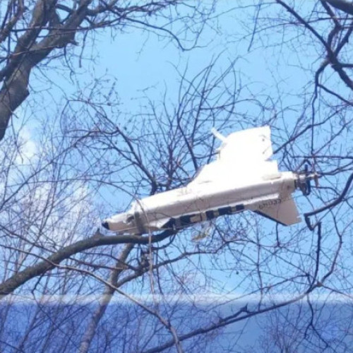 Proprietar din Iași descoperă dronă prinsă în copac