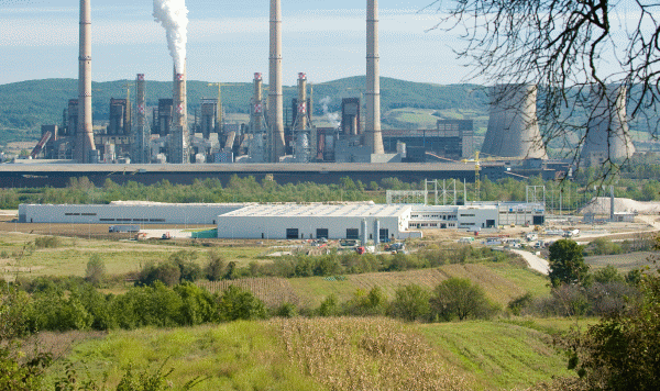 Turceni devine zonă cu potențial viticol, aducând oportunități pentru comunitate