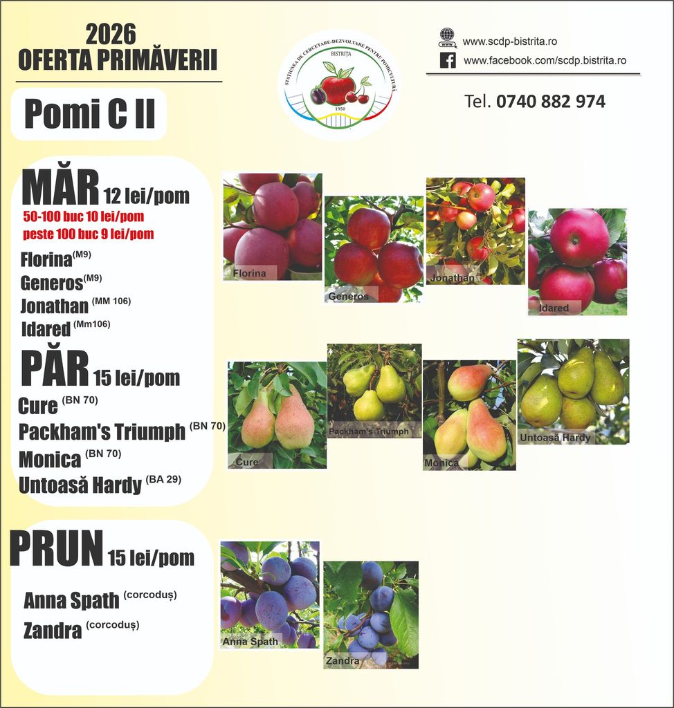 Prețuri actualizate pentru pomii fructiferi în 2026