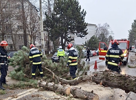Cod portocaliu pentru vânt puternic în județul Argeș