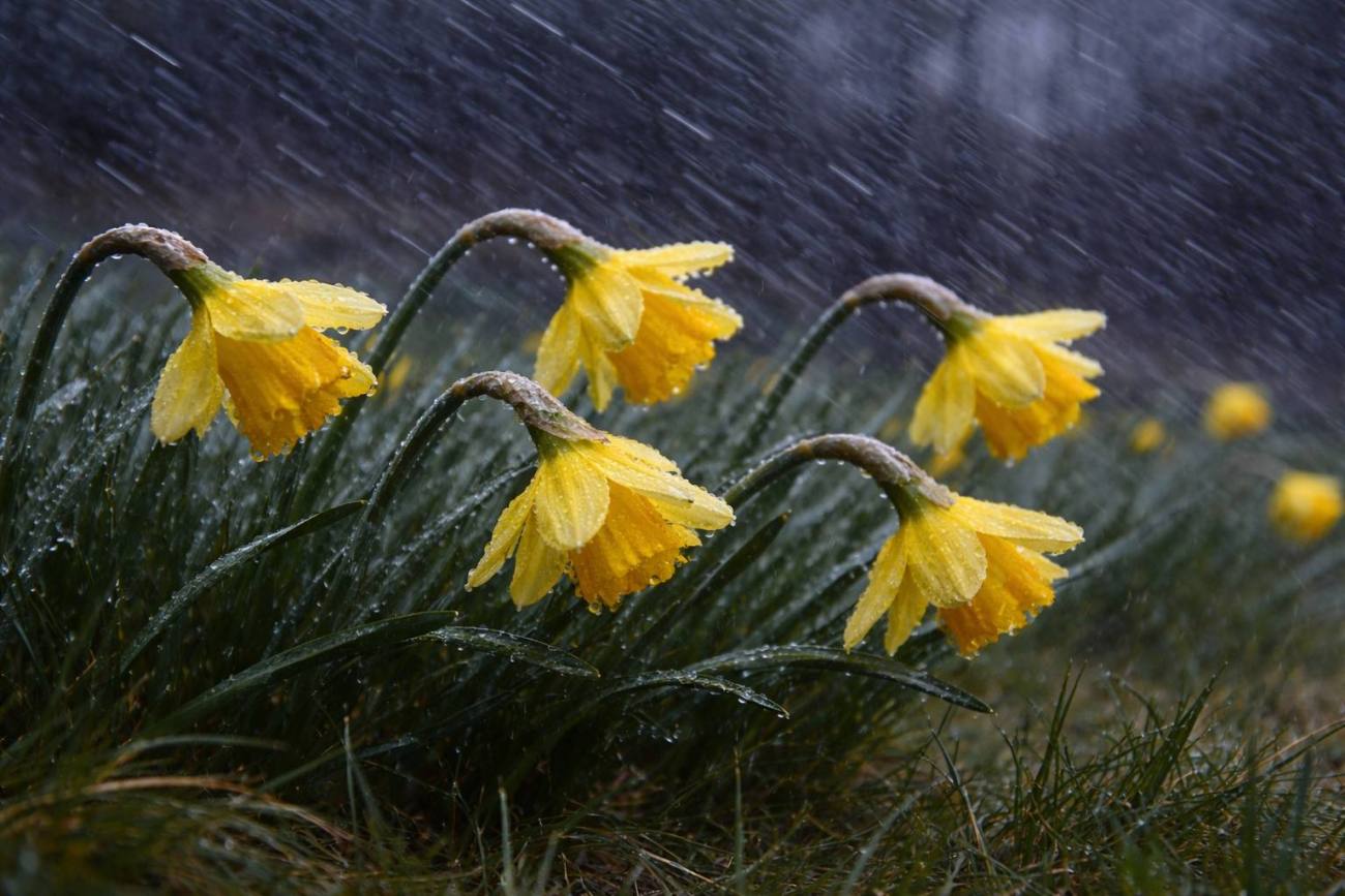 Avertizări meteorologice în județul Dâmbovița pentru următoarele zile