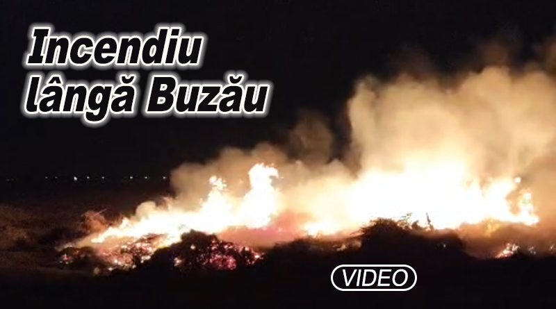 Incendiu devastator la rampa de gunoi din Mărăcineni, lângă Buzău
