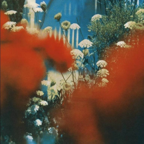 NOUA UNSPE și RUBY, protagoniștii videoclipului "SPUNE-MI": piesa care a cucerit TikTok-ul și intră direct în inimile fanilor români!