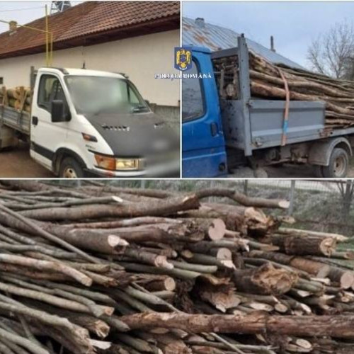 Persoane din Ludești, Găești și Târgoviște sancționate pentru transport ilegal de material lemnos