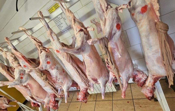 DSVSA Vrancea monitorizează siguranța alimentelor înainte de Paște