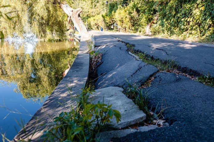 Lucrări de consolidare a malurilor lacului din Parcul Herăstrău, anunțate de primar