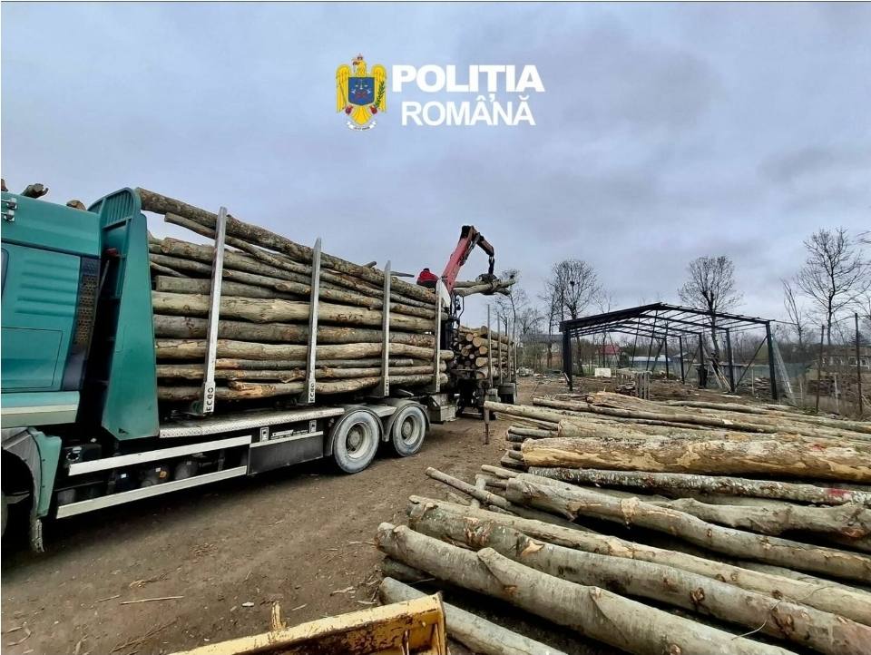 Acțiune a poliției pentru combaterea comerțului ilegal cu lemn