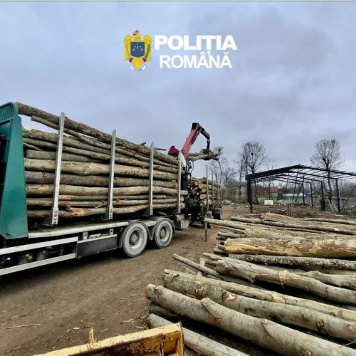 DÂMBOVIȚA: 58 METRI CUBI MATERIAL LEMNOS, CONFISCAȚI DE POLIȚIȘTII DE LA ORDINE PUBLICĂ