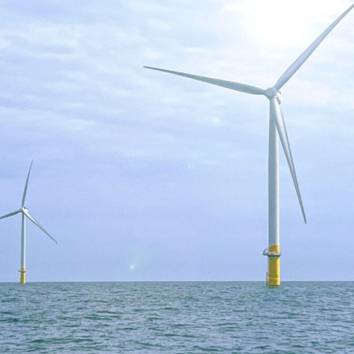 Trump plătește 1 miliard de dolari pentru a anula două ferme eoliene