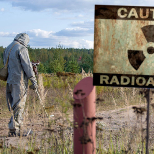 Cercetătorii descoperă o ciupercă misterioasă la Cernobîl care prosperă în radiații