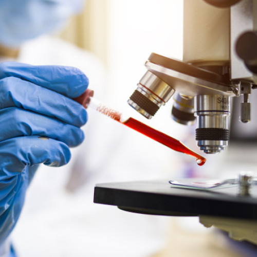 Studiu: Virusurile animale pot infecta oamenii fără adaptări speciale