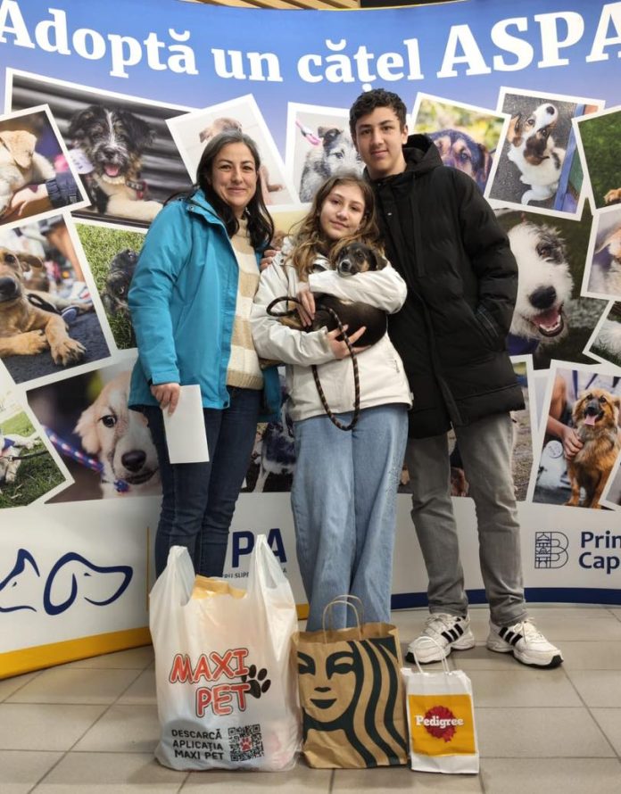Bucureștenii adoptă căței în ciuda vremii nefavorabile