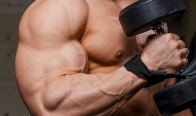 Un microb intestinal îmbunătățește forța musculară la șoareci