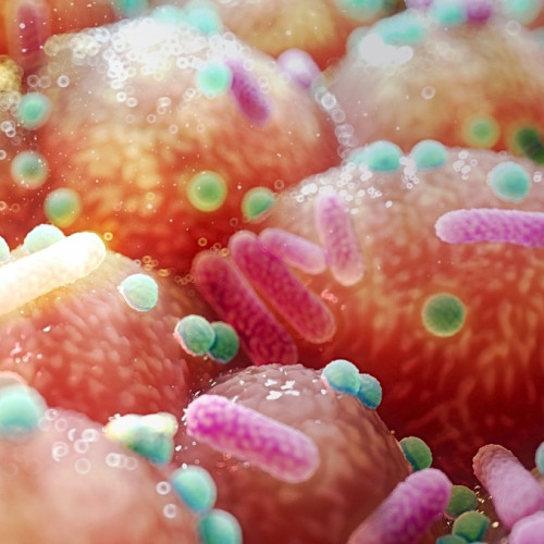 Legătura Parkinsonului cu bacteriile intestinale sugerează un tratament surprinzător de simplu